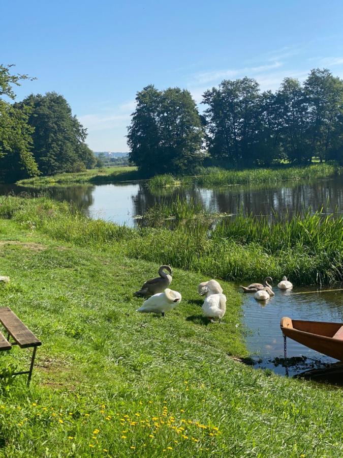 Idyllische Ferienwohnungen In Mossendorf Blick Zur Naab Burglengenfeld Exteriör bild